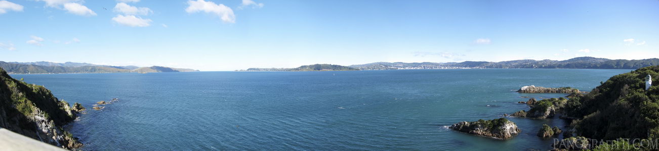Wellington From Somes Island - West from Somes Island