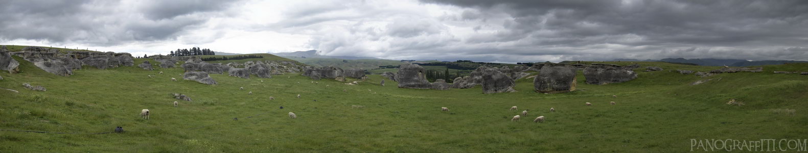 Heaps of Sheeps and Elephant Rocks - Stitched Panorama