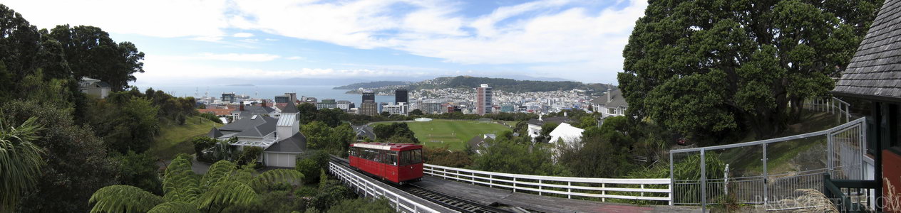 Wellington Cable Car - A view of Welly from the iconic Cable Car lookout at the top of the botanical gardens