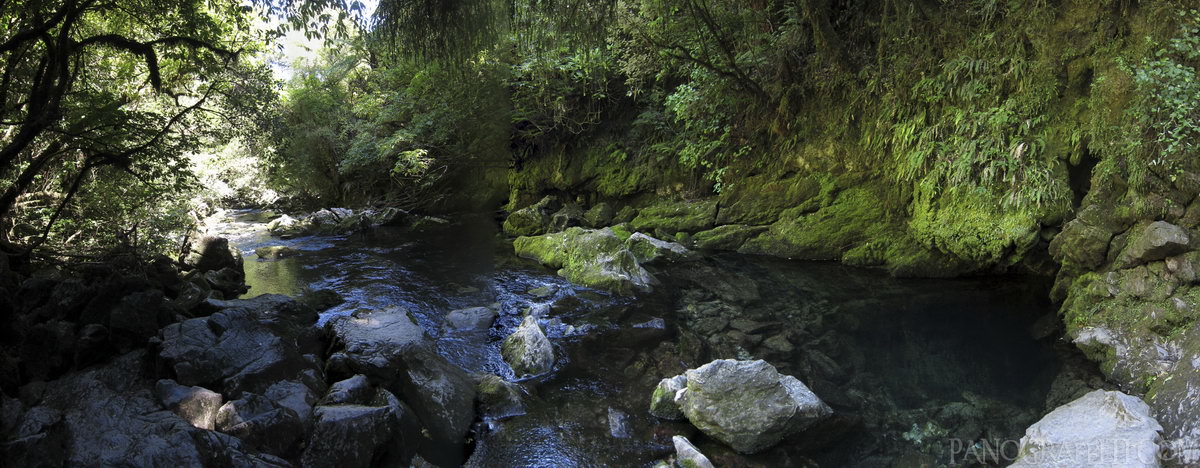 Nettlebed Cave on Pearse River - Motueka, Tasman, New Zealand