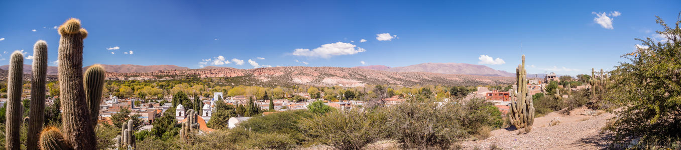 Humahuaca Cacti - Cacti surround the desert town of Humahuaca